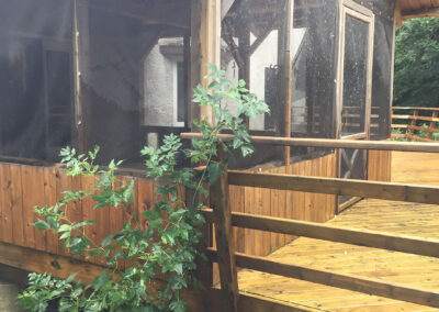 deck and railings