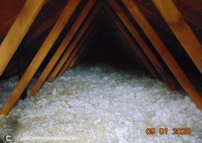 Ellen Street Attic Inspection building #14