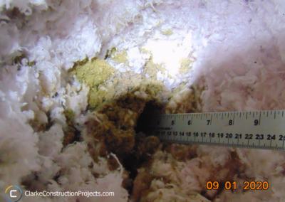 building-inspection