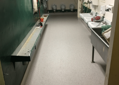 Assiniboia Downs Bathroom Flooring Renovation